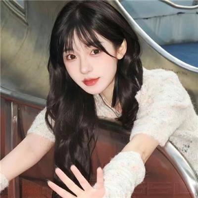 美国的儿子